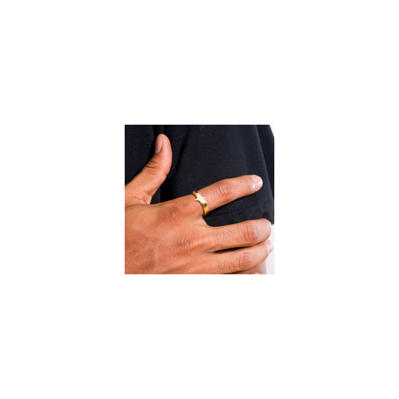 Iced Signature ring
